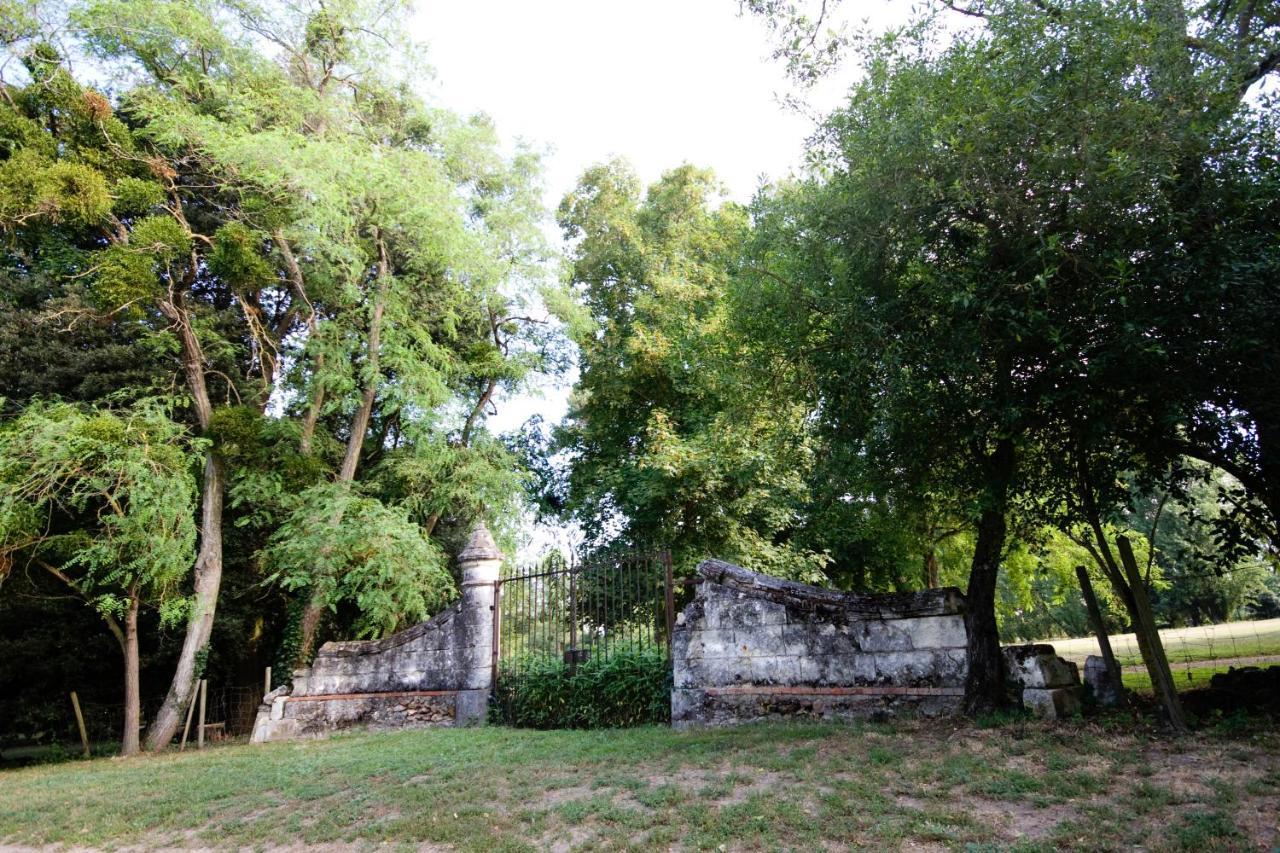 Les Bois-d'Anjou Le Logis Du Pressoir Chambre D'Hotes Bed & Breakfast In Beautiful 18Th Century Estate In The Heart Of The Loire Valley With Heated Pool And Extensive Grounds B&B 외부 사진