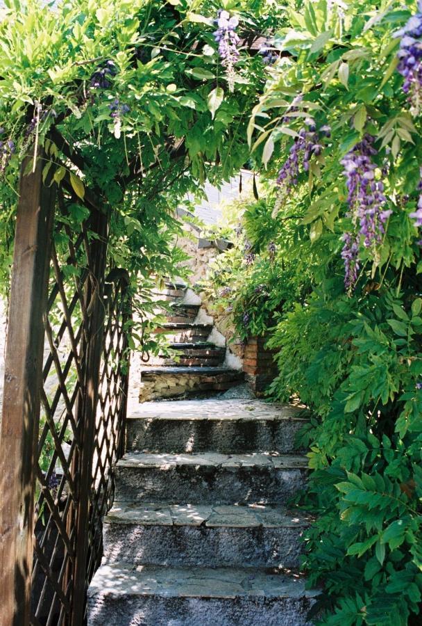 Les Bois-d'Anjou Le Logis Du Pressoir Chambre D'Hotes Bed & Breakfast In Beautiful 18Th Century Estate In The Heart Of The Loire Valley With Heated Pool And Extensive Grounds B&B 외부 사진