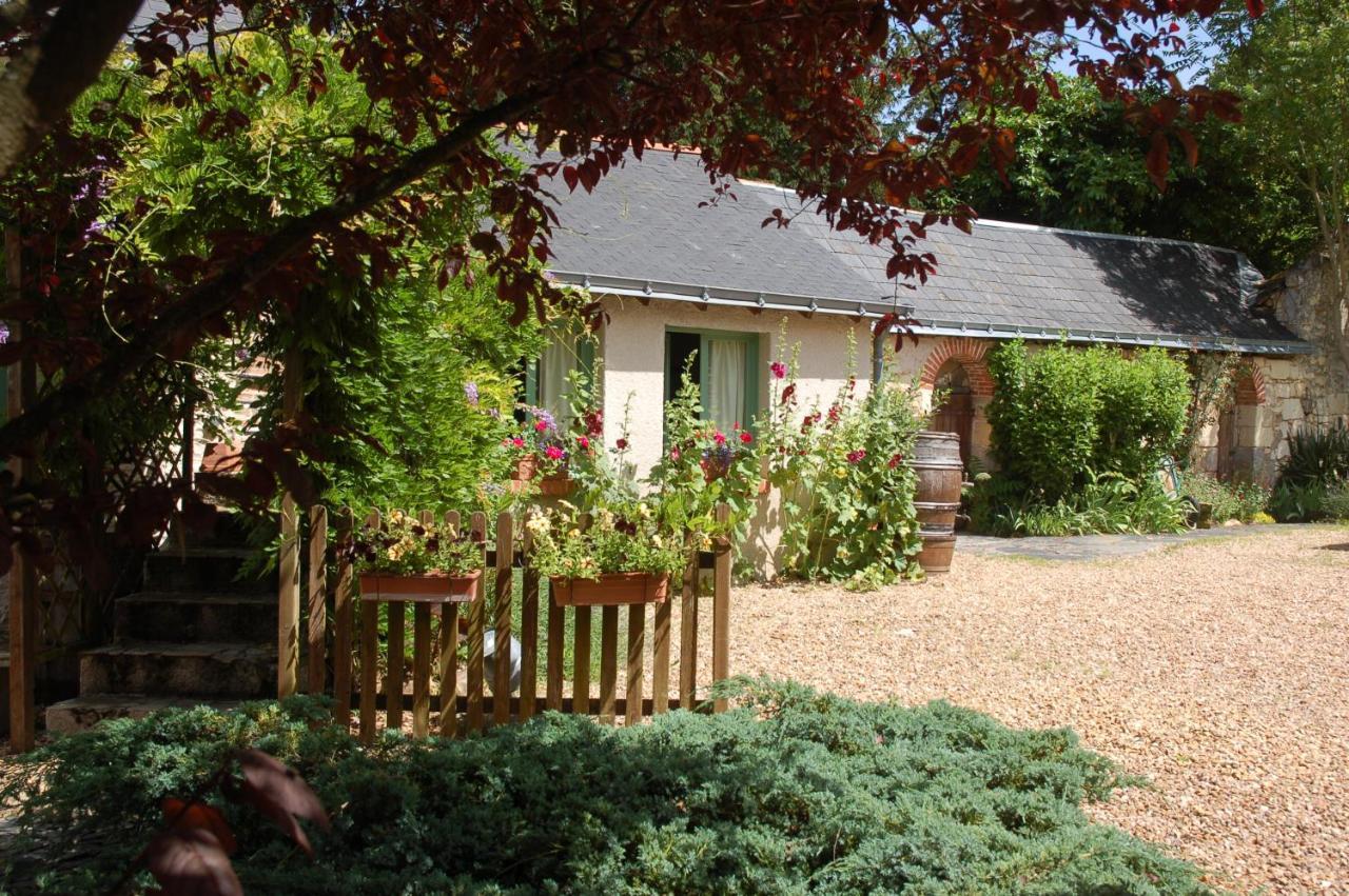 Les Bois-d'Anjou Le Logis Du Pressoir Chambre D'Hotes Bed & Breakfast In Beautiful 18Th Century Estate In The Heart Of The Loire Valley With Heated Pool And Extensive Grounds B&B 외부 사진