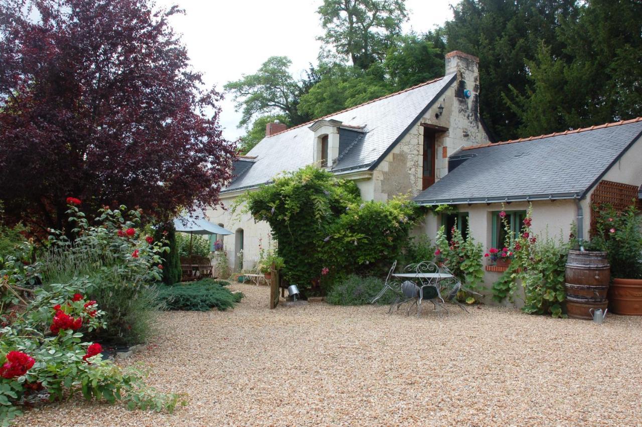 Les Bois-d'Anjou Le Logis Du Pressoir Chambre D'Hotes Bed & Breakfast In Beautiful 18Th Century Estate In The Heart Of The Loire Valley With Heated Pool And Extensive Grounds B&B 외부 사진